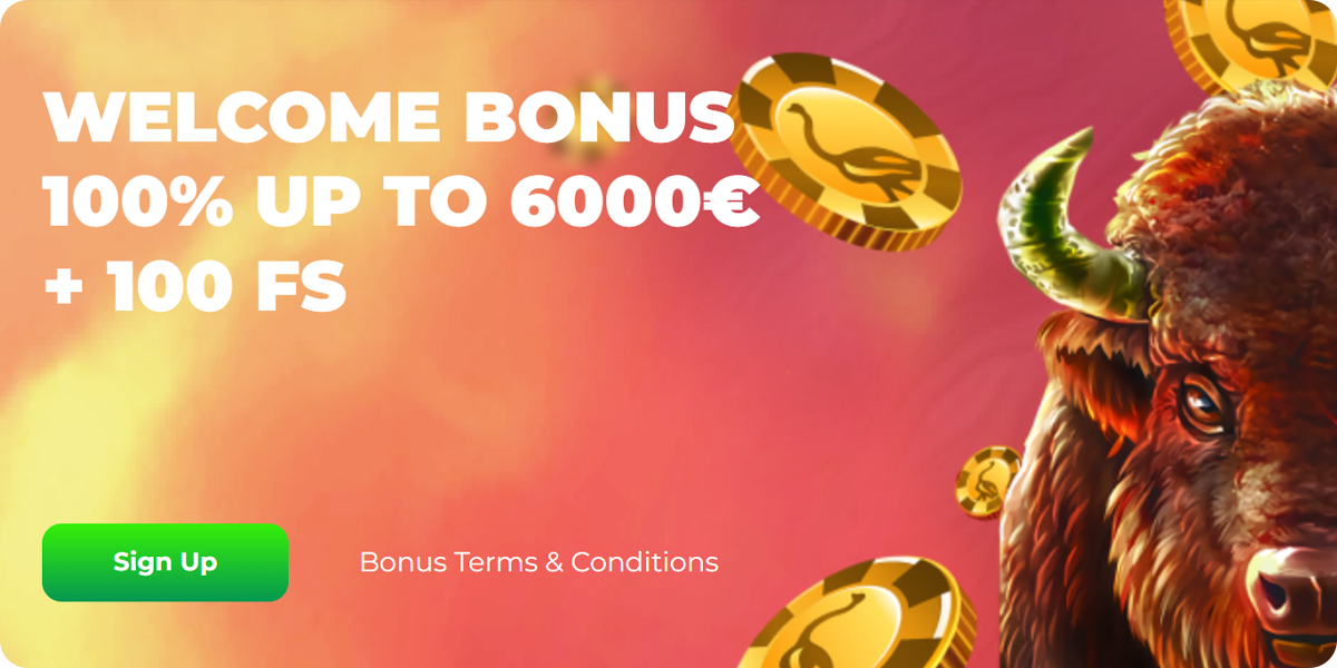 Zotabet Bonus Codes